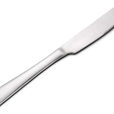 12-Piece Premium Stainless Steel Dinner Knife Set: 9-inch size.
