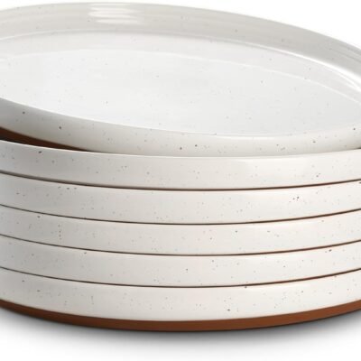 10.5" Large Dinner Plates Set of 6, Ceramic Salad Plate, Microwave, Oven & Dishwasher Safe, Moon-White Design Perfect for Party Dessert, Wedding Appetizer, Birthday, Mothers Day Gifts