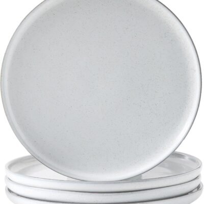 Ceramic Dinner Plates Set of 4,Stoneware 10 Inch,Microwave,Dishwasher and Oven Safe,Porcelain Dessert Plates for Pasta,Salad and Steak,Dishes Set for Kitchen,Scratch Resistant,White