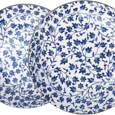 Ceramic Plates Set of 2 – 8-Inch Porcelain Dinner Plates for Kitchen, Microwave, Oven & Dishwasher Safe, 4 Unique Patterns